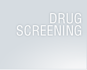 Employment Screening